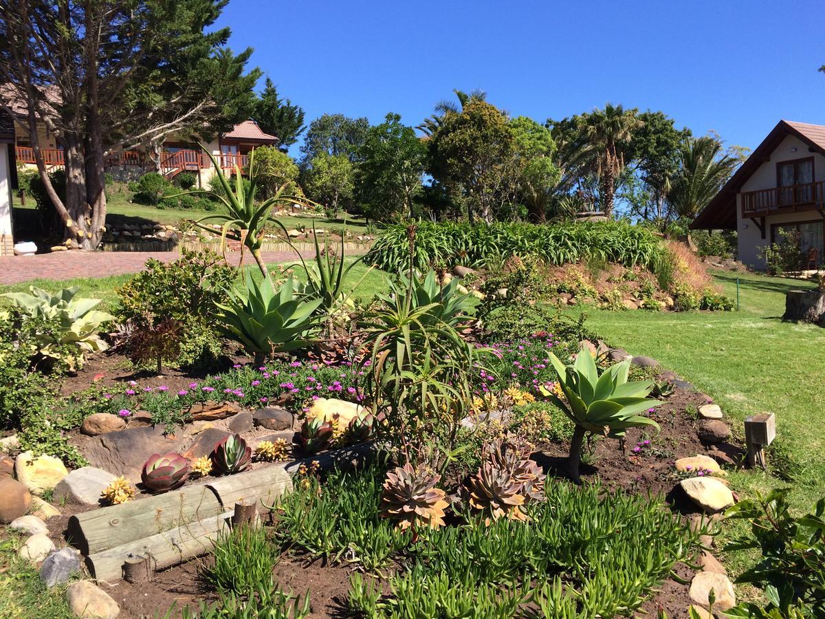 Fish Eagle Lodge Knysna Zewnętrze zdjęcie