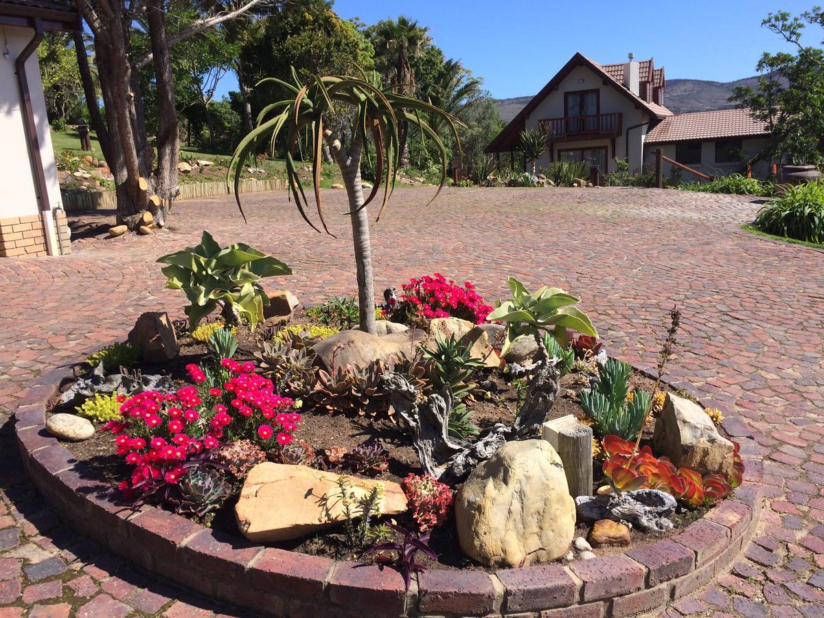 Fish Eagle Lodge Knysna Zewnętrze zdjęcie